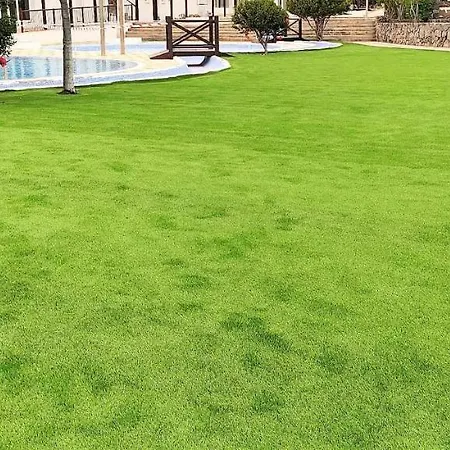 Ocean Sun & Golf Ii Apartment